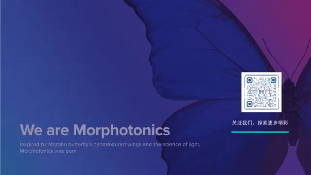 Morphotonics Lab-to-Fab 动态展示